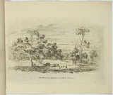 Artist: Nixon, F.R. | Title: The plains from Glen Osmond Mine, Adelaide. | Date: 1845 | Technique: etching, printed in black ink, from one plate