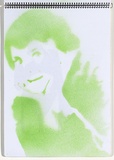 Title: b'Chickenpox' | Date: 2003-2004 | Technique: b'stencil, printed with green aerosol paint, from one stencil'