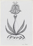 Artist: Burns, Peter. | Title: Trophy. | Date: 1987 | Technique: photocopy, printed in black ink | Copyright: © Peter Burns