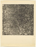 Artist: b'Halpern, Stacha.' | Title: b'not titled [Abstract]' | Date: 1968 | Technique: b'open bite, etching and aquatint, printed in black ink with plate-tone, from one plate'