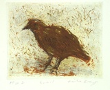 Artist: b'Bragge, Anita.' | Title: b'Quail' | Date: 1998, October | Technique: b'aquatint, sugarlift and drypoint, printed in colour, from three plates'