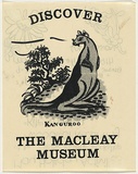 Artist: Lane, Leonie. | Title: Discover the Macleay Museum | Date: 1978 | Technique: screenprint, printed in black ink, from one stencil | Copyright: © Leonie Lane