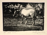 Artist: REYNOLDS, Frederick George | Title: The white horse | Date: (1928) | Technique: woodcut, printed in black ink, from one block