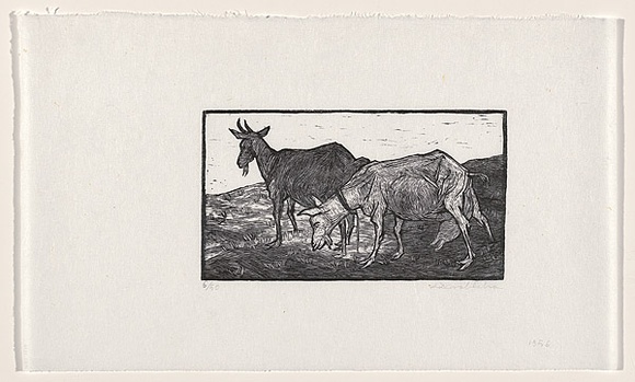 Artist: b'Groblicka, Lidia.' | Title: b'Goats' | Date: 1956 | Technique: b'woodcut, printed in black ink, from one block'