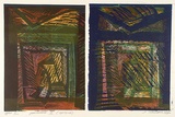 Artist: b'Marshall, Jennifer.' | Title: b'Parterre II (diptych)' | Date: 1990 | Technique: b'linocut and woodcut, printed in colour, from four blocks'