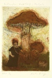 Artist: Bragge, Anita. | Title: Rötender Wutstling, Perlpilz | Date: 1999, September | Technique: etching, drypoint and aquatint, printed in colour, from multiple plates