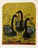 Artist: b'OGILVIE, Helen' | Title: b'Greeting card: Black swan. (Print designed as christmas card)' | Date: c.1951 | Technique: b'linocut, printed in colour, from multiple blocks'