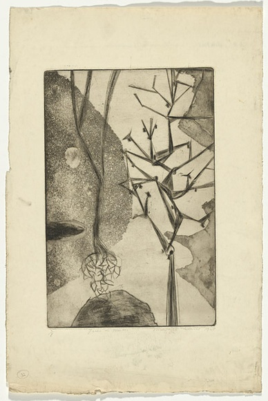 Artist: b'Cilento, Margaret.' | Title: b'Trees in winter.' | Date: 1949 | Technique: b'etching, aquatint, drypoint, printed in black ink with plate-tone, from one plate'