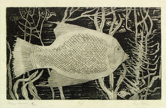 Artist: b'Allen, Joyce.' | Title: b'Fish.' | Date: (1960-62) | Technique: b'etching and aquatint printed in black ink with plate-tone, from one  plate'