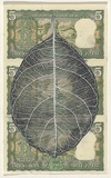 Artist: HALL, Fiona | Title: Artocarpus heterophyllus - Jakfruit (Indian currency) | Date: 2000 - 2002 | Technique: gouache | Copyright: © Fiona Hall