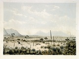 Artist: Angas, George French. | Title: Kangaroo hunting, near Port Lincoln. Albert Park in the distance. | Date: 1846-47 | Technique: lithograph, printed in colour, from multiple stones; varnish highlights by brush