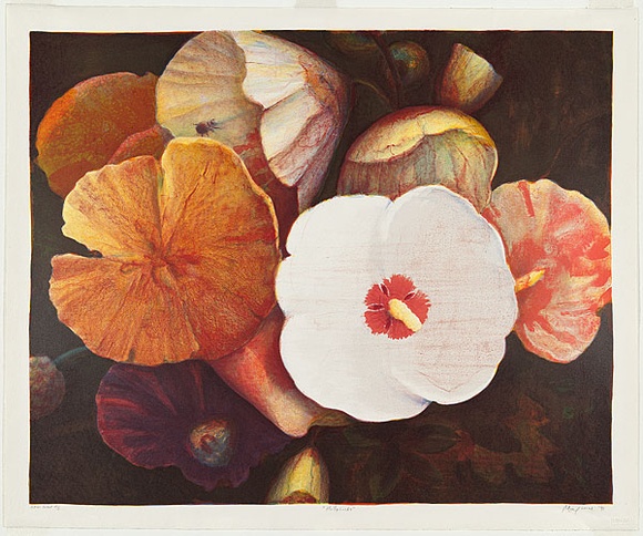 Artist: b'Maguire, Tim.' | Title: b'Hollyhocks' | Date: 1991, June-July | Technique: b'lithograph, printed in colour, from eight aluminium plates' | Copyright: b'\xc2\xa9 Tim Maguire'