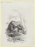Artist: GILL, S.T. | Title: Wayfaring diggers | Date: 1852 | Technique: lithograph, printed in black ink, from one stone
