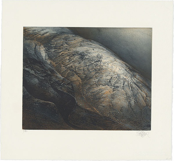 Artist: b'SCHMEISSER, Jorg' | Title: b'Rock face, colour' | Date: 1985 | Technique: b'soft-ground aquatint etching, printed in colour, from two plates' | Copyright: b'\xc2\xa9 J\xc3\xb6rg Schmeisser'