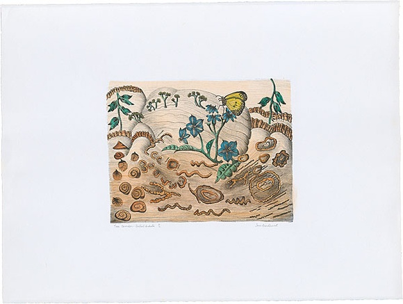 Artist: b'Bradhurst, Jane.' | Title: b'Time corridor, Central Australia.' | Date: 1997 | Technique: b'lithograph, printed in black ink, from one stone; hand-coloured in watercolour'