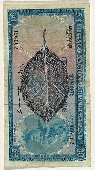 Artist: b'HALL, Fiona' | Title: b'Ficus obliqua - Small-leaf fig (Portuguese Timor currency)' | Date: 2000 - 2002 | Technique: b'gouache' | Copyright: b'\xc2\xa9 Fiona Hall'