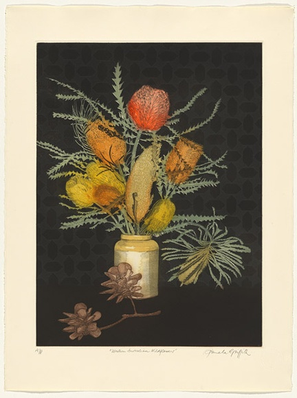 Artist: b'GRIFFITH, Pamela' | Title: b'Western Australian Wild Flowers' | Date: 1987 | Technique: b'hardground-etching and aquatint, printed in colour, from two zinc plates' | Copyright: b'\xc2\xa9 Pamela Griffith'