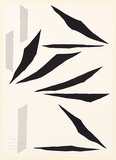 Artist: b'Dawson, Janet.' | Title: b'Heidelbird flutter.' | Date: 1981 | Technique: b'lithograph, printed in colour, printed in colour, from two plates' | Copyright: b'\xc2\xa9 Janet Dawson. Licensed by VISCOPY, Australia'