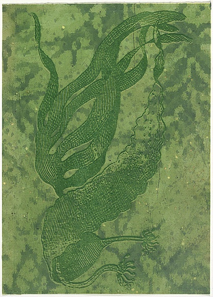 Title: b'Sea floor 34' | Date: 2009 | Technique: b'digital print, printed in colour, from digital file; etching, printed in green ink, from one plate; hand-painted'
