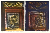 Artist: b'Marshall, Jennifer.' | Title: b'Parterre III (double spead)' | Date: 1990 | Technique: b'linocut and woodblock, printed in colour, from six blocks'