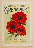 Artist: b'Burdett, Frank.' | Title: bLabel: G.J. Coles & Co, new anemone 'Grenadier'. | Date: (1930) | Technique: b'lithograph, printed in colour, from multiple stones [or plates]'
