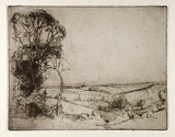 Artist: LONG, Sydney | Title: Pastoral landscape | Date: 1928, after | Technique: line-etching, drypoint, foul biting printed in black ink from one plate | Copyright: Reproduced with the kind permission of the Ophthalmic Research Institute of Australia