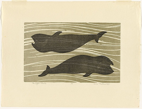 Artist: b'Thake, Eric.' | Title: b'The Right Whale' | Date: 1971 | Technique: b'linocut, printed in colour, from two blocks'