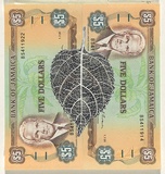 Artist: b'HALL, Fiona' | Title: b'Lantana camara - Lantana (Jamaican currency)' | Date: 2000 - 2002 | Technique: b'gouache' | Copyright: b'\xc2\xa9 Fiona Hall'