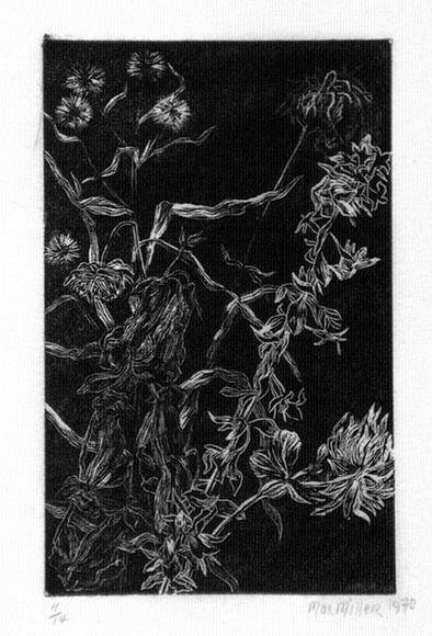 Artist: Miller, Max. | Title: Flowers, foliage | Date: 1970 | Technique: wood-engraving, printed in black ink, from one block