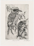 Artist: b'Atkinson, Lance.' | Title: b'Dreaming in the wild' | Date: 2000, June | Technique: b'etching, printed in black ink, from one plate'