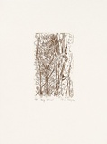 Artist: b'MEYER, Bill' | Title: b'Dry forest' | Date: 1992 | Technique: b'etching, printed in brown ink, from one zinc plate' | Copyright: b'\xc2\xa9 Bill Meyer'