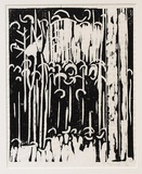 Artist: Grey-Smith, Guy | Title: Karri forest | Date: 1980 | Technique: woodcut, printed in black ink, from one block