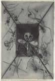 Artist: b'Uhlmann, Paul.' | Title: b'New Insecta Queensland by A A Girault.' | Date: 1989 | Technique: b'etching'