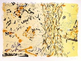 Artist: TUCK, Barbara | Title: Repetitions | Date: 1990 | Technique: lithograph, printed in colour, from multiple stones | Copyright: © Barbara Tuck.