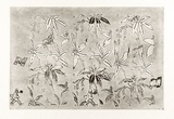 Artist: b'COLEING, Tony' | Title: b'Tahiti - Perle du Pacifique.' | Date: 1984 | Technique: b'etching and aquatint, printed in black ink with plate-tone, from one zinc plate'