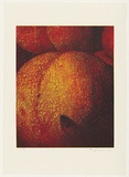 Artist: b'Maguire, Tim.' | Title: b'not titled [peaches]' | Date: 1999, September - October | Technique: b'lithograph, printed in colour, from multiple plates' | Copyright: b'\xc2\xa9 Tim Maguire'