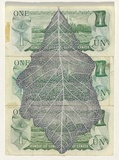 Artist: b'HALL, Fiona' | Title: b'Quercus bicolor - Swamp white oak (Canadian currency)' | Date: 2000 - 2002 | Technique: b'gouache' | Copyright: b'\xc2\xa9 Fiona Hall'