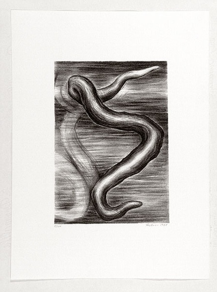 Artist: b'Weiss, Rosie.' | Title: b'not titled.' | Date: 1988 | Technique: b'lithograph, printed in black ink, from one stone [or plate]'