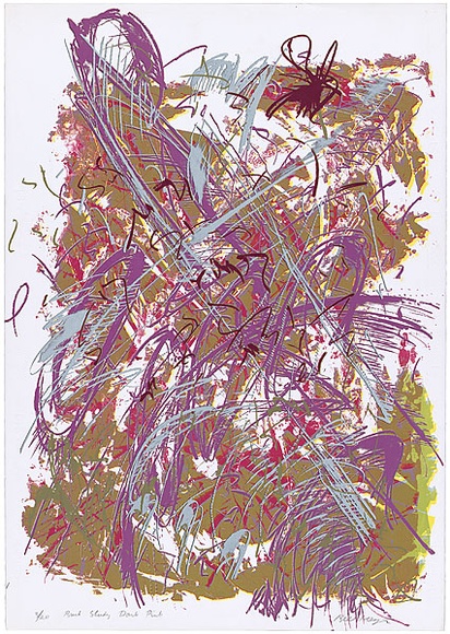 Artist: b'MEYER, Bill' | Title: b'Bush study dark pink' | Date: 1987 | Technique: b'screenprint, printed in colour, from multiple screens (direct and indirect reduction)' | Copyright: b'\xc2\xa9 Bill Meyer'