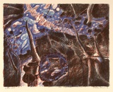 Artist: b'Robinson, William.' | Title: b'Clear night' | Date: 1992 | Technique: b'lithograph, printed in colour ink, from four stones'