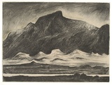 Artist: Trenfield, Wells. | Title: Melaleuca Landscape I | Date: 1985 | Technique: lithograph, printed in colour, from multiple stones