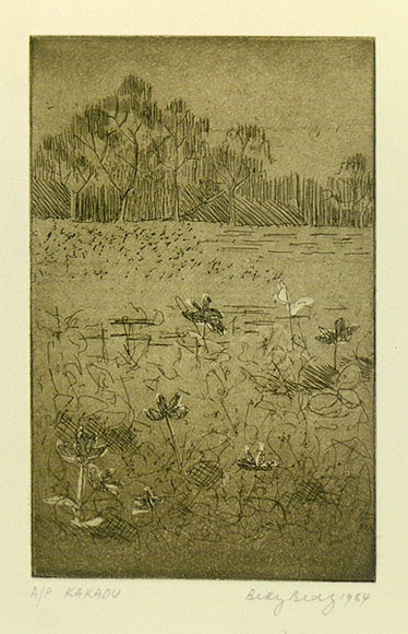 Artist: b'Bray, Betty.' | Title: b'Kakadu.' | Date: 1984 | Technique: b'aquatint, etching, roulette printed in green ink, from one copper/plate'