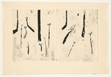 Artist: b'WILLIAMS, Fred' | Title: b'Ferns diptych. Number 2' | Date: 1971 | Technique: b'aquatint, foul biting, flat biting, engraving, rough biting, etching, electric hand engraving tool, printed in black ink, from two zinc plates' | Copyright: b'\xc2\xa9 Fred Williams Estate'
