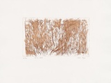 Artist: b'MEYER, Bill' | Title: b'Spring wind' | Date: 1988 | Technique: b'etching, printed in brown ink with plate-tone, from one zinc plate' | Copyright: b'\xc2\xa9 Bill Meyer'