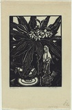 Artist: Proctor, Thea. | Title: Frangipanni | Date: 1928 | Technique: woodcut, printed in black ink, from one block | Copyright: © Art Gallery of New South Wales
