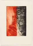 Artist: ARNOLD, Raymond | Title: Artificial nature IV. | Date: c.1993 | Technique: etching, printed in red and black ink, from two plates