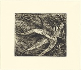 Artist: BOYD, Arthur | Title: Nude with shark headed beast (Diana and Actaeon). | Date: (1962-63) | Technique: etching and aquatint, printed in black ink, from one plate | Copyright: Reproduced with permission of Bundanon Trust