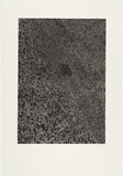 Artist: MADDOCK, Bea | Title: Shadow | Date: 1973 | Technique: photo-etching, engraving and aquatint, printed in black ink, from one plate