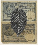 Artist: HALL, Fiona | Title: Carpinus betulus - Common hornbeam (Belgian currency) | Date: 2000 - 2002 | Technique: gouache | Copyright: © Fiona Hall
