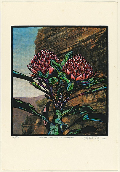 Title: b'Telopea speliosissima - waratah' | Date: 1990 | Technique: b'screenprint, printed in colour, from multiple stencils'